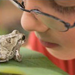 Boy looking at toad