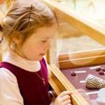 little girl looking at museum display